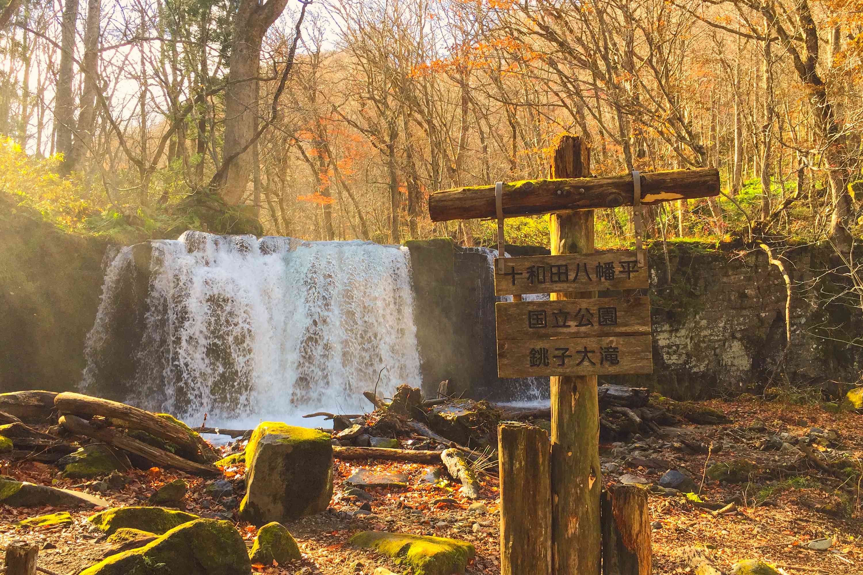 Oirase Stream in Aomori, Japan by Craig Mcbey, Flickr